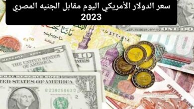 سعر الدولار في مصر