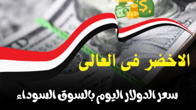 سعر الدولار فى مصر اليوم