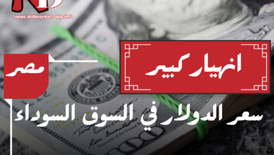 سعر الدولار في مصر