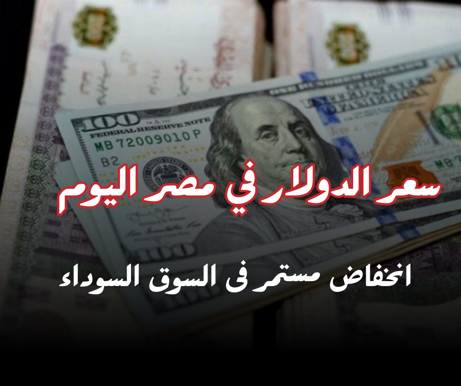 سعر الدولار في مصر