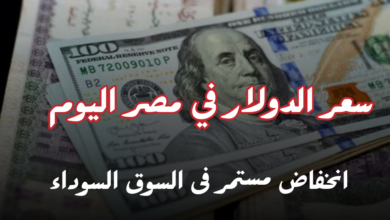 كم سعر الدولار في مصر