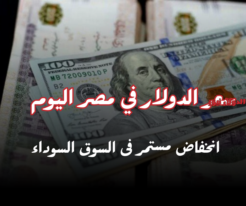 كم سعر الدولار في مصر