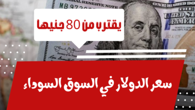 أسعار الدولار في البنوك المصرية اليوم