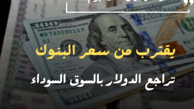 أسعار الدولار في البنوك المصرية