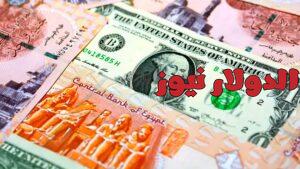 استقرار سعر الدولار مقابل الجنيه المصري