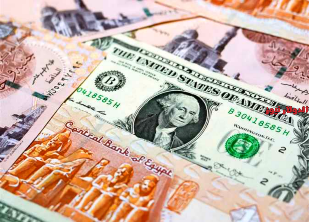 سعر الدولار اليوم في مصر اليوم