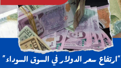 سعر الدولار اليوم في سوريا الثلاثاء 13 مايو 2025